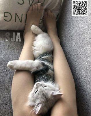 青柠直播免费观看_BD英语全集在线观看